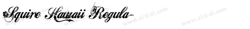 Squire Hawaii Regula字体转换